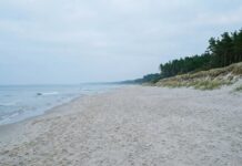 Najspokojniejsza nadmorska dzielnica Gdańska? Wszystko wskazuje na Wyspę Sobieszewską